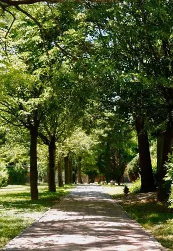 Sportpension Wagner - фото 7