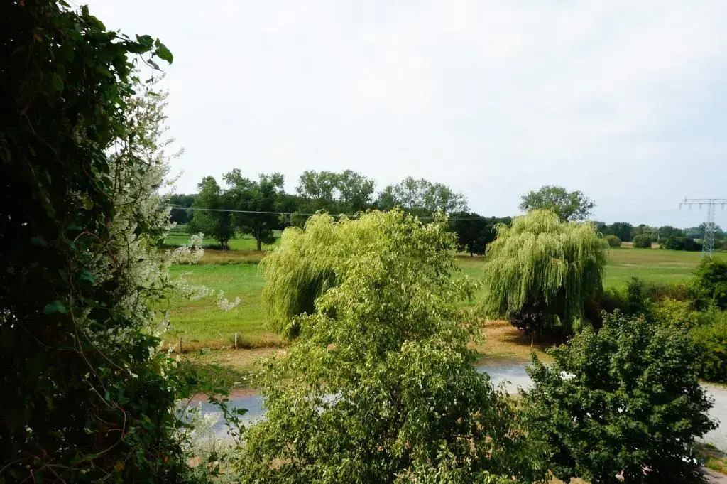 Image 23