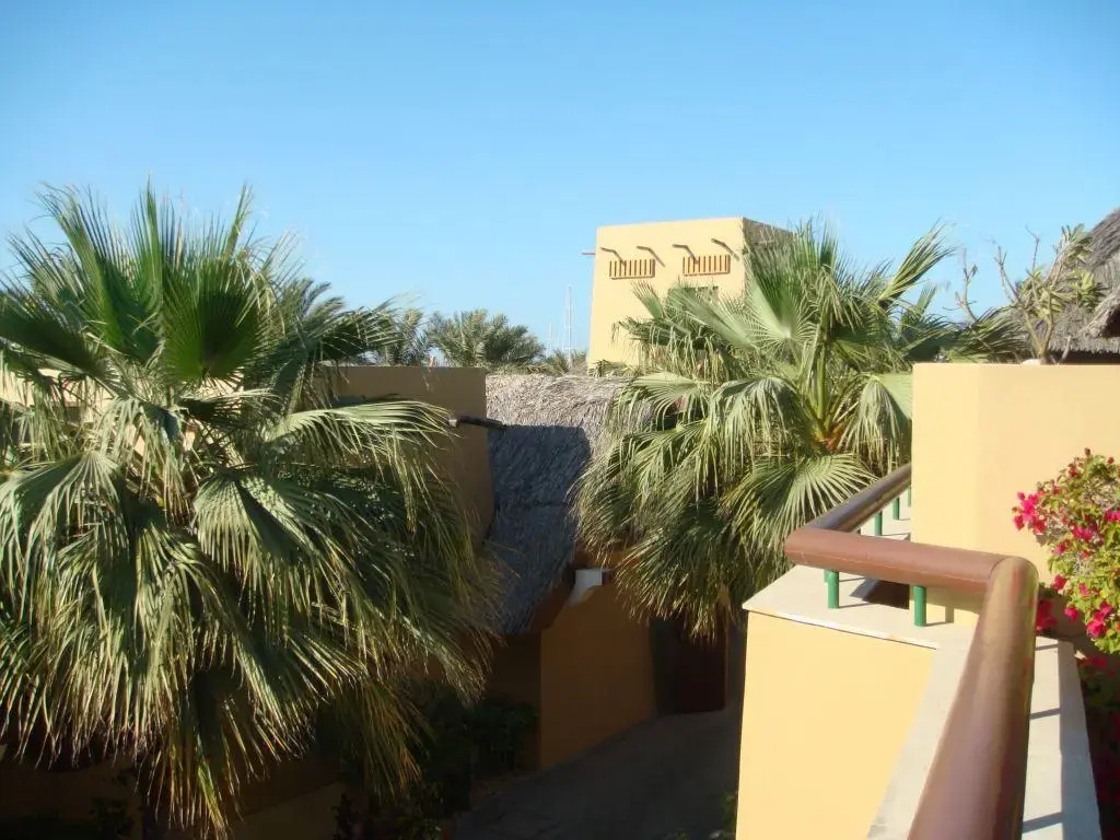 Balcony & Terrace