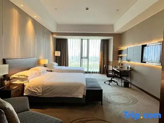 Standard Triple Family room