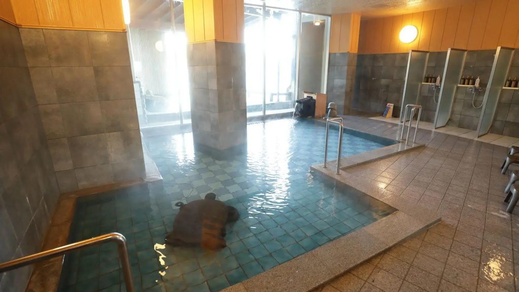 Hotel photo 27