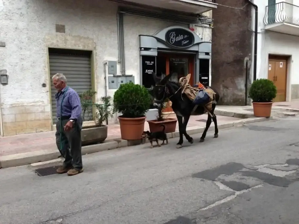 Il Pieddo