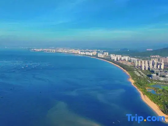 Beach & Waterfront