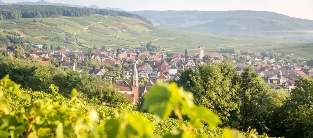 Afficher la photo 7 — Gîtes & Chambes d'Hôtes Fugler