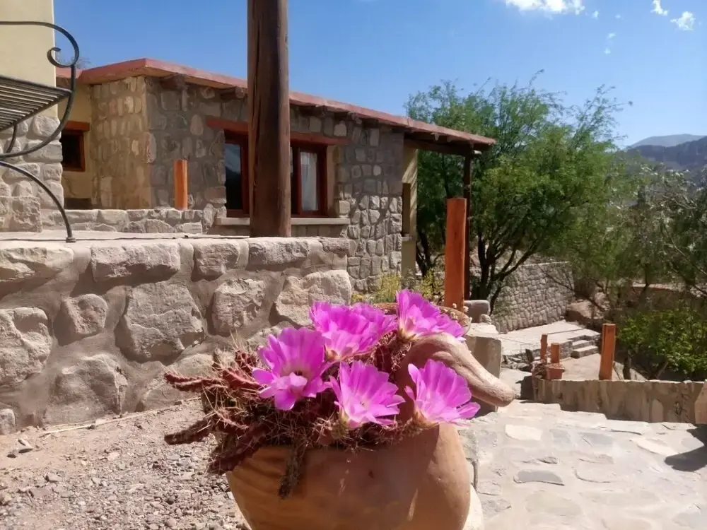 La Quinta De Maria -Tilcara