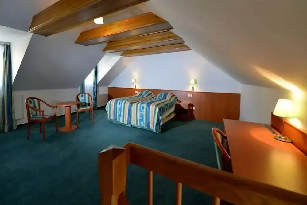 Hotel Dvořák - Chambres