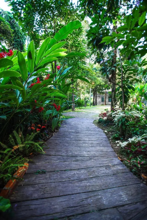 Tai resort - Général