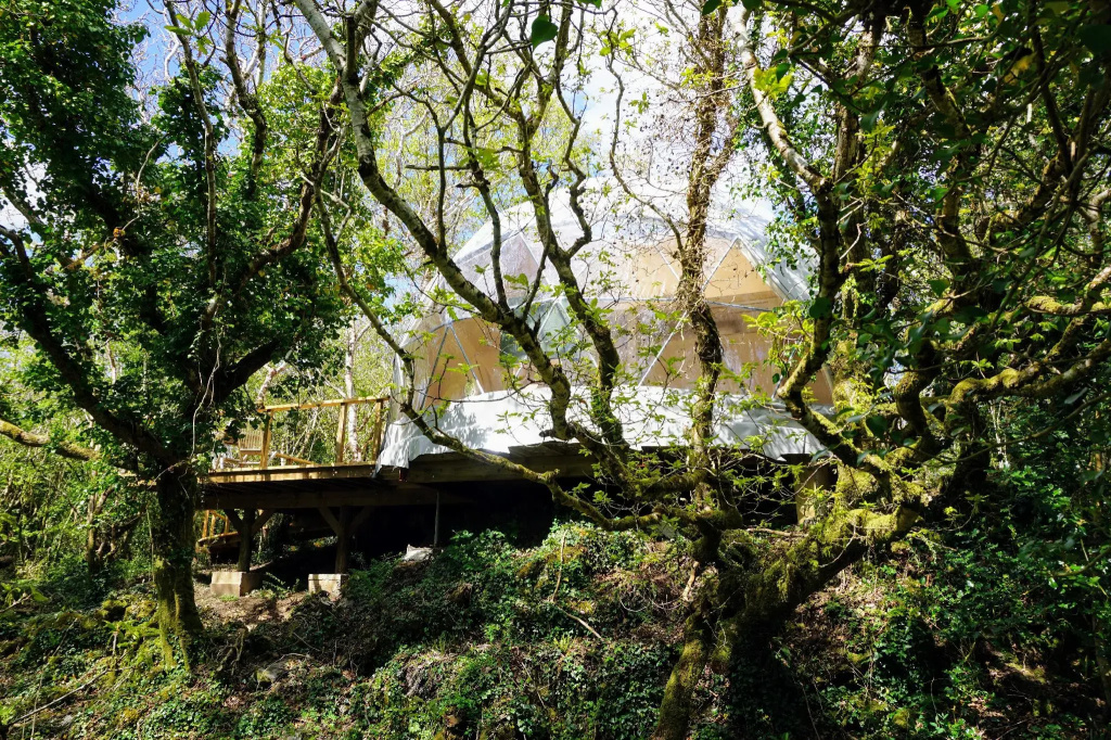 Fernwood