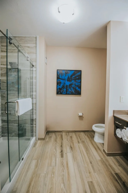 Deluxe Double room (full double bed)
