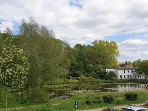 Image 16