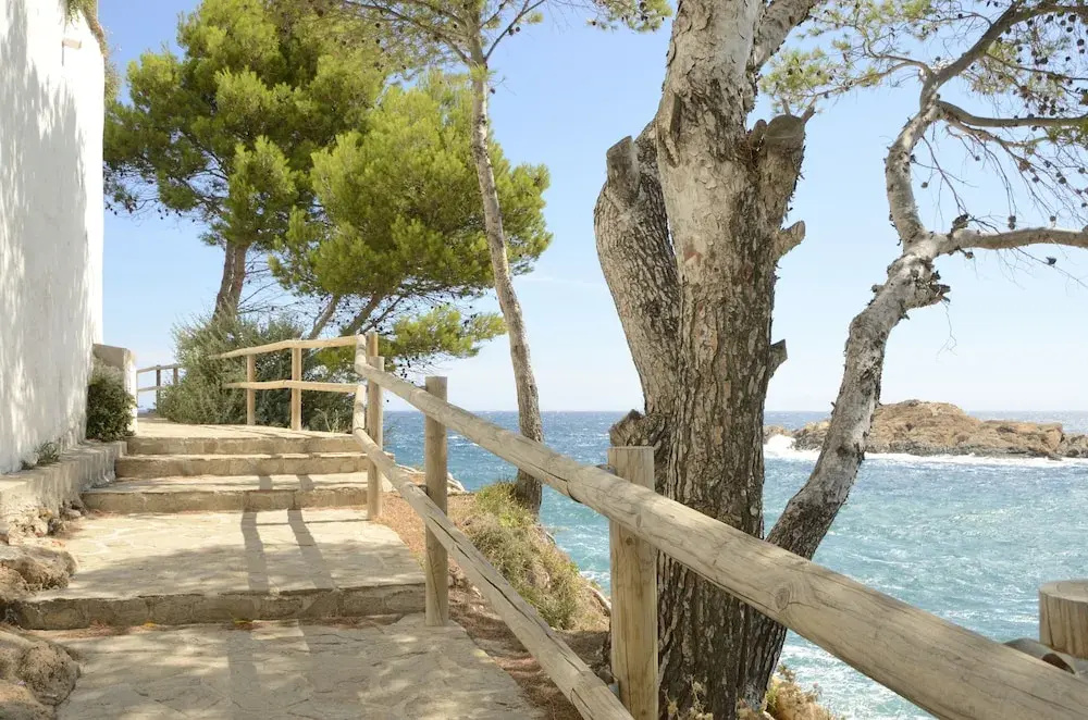 Beach & Waterfront