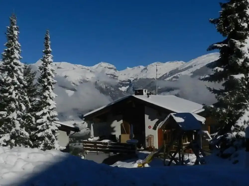 Hotel Restaurant Surselva - Général