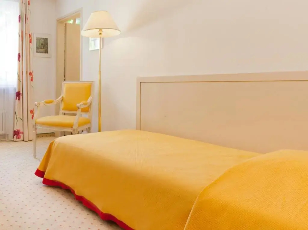 Standard Single room with mountain view