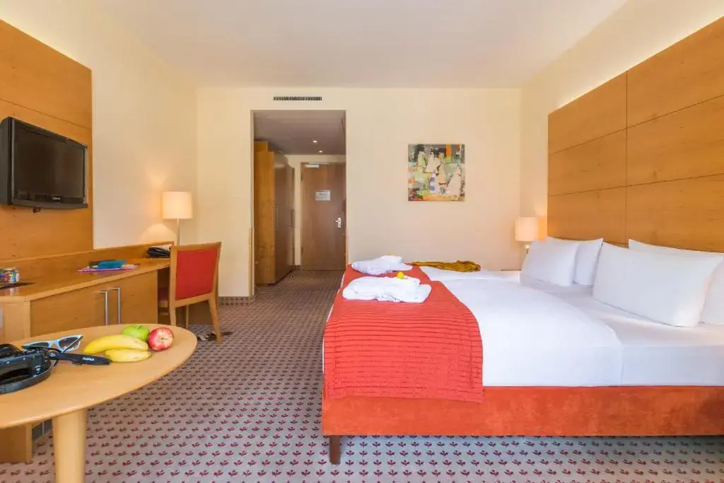 Comfort Double room (full double bed)