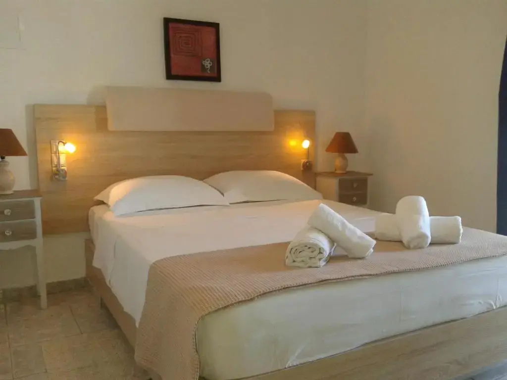 Standard Double room with garden view (full double bed)