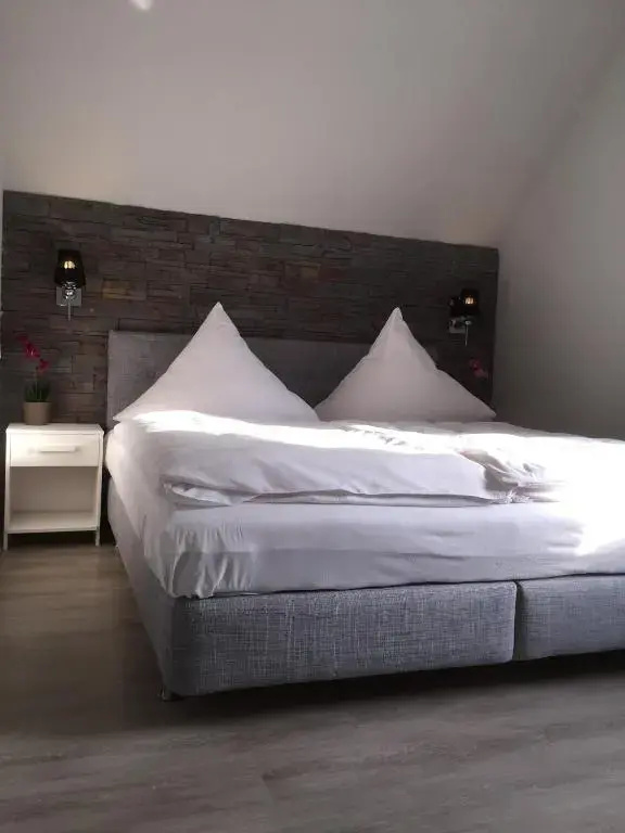 Deluxe Double room (full double bed)