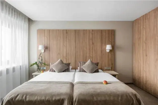 Standard Double room (full double bed)