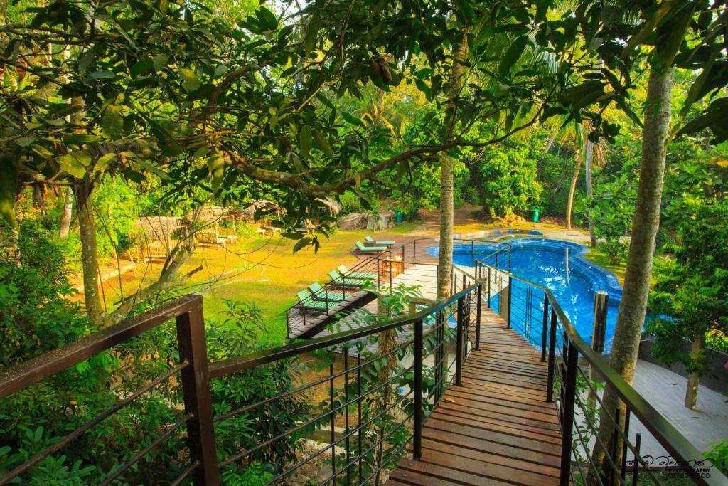 Jungle Village