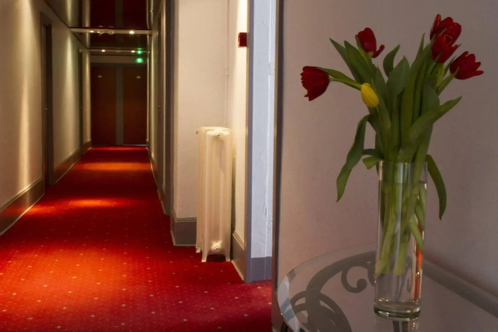 Brit Hotel Roanne - Le Grand Hotel - Général