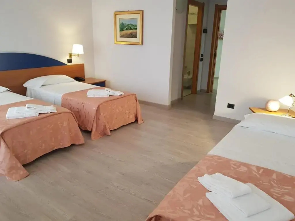 Roero Park Hotel - Général