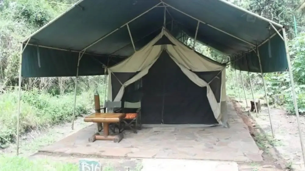 Siana Springs Tented Camp - Chambres