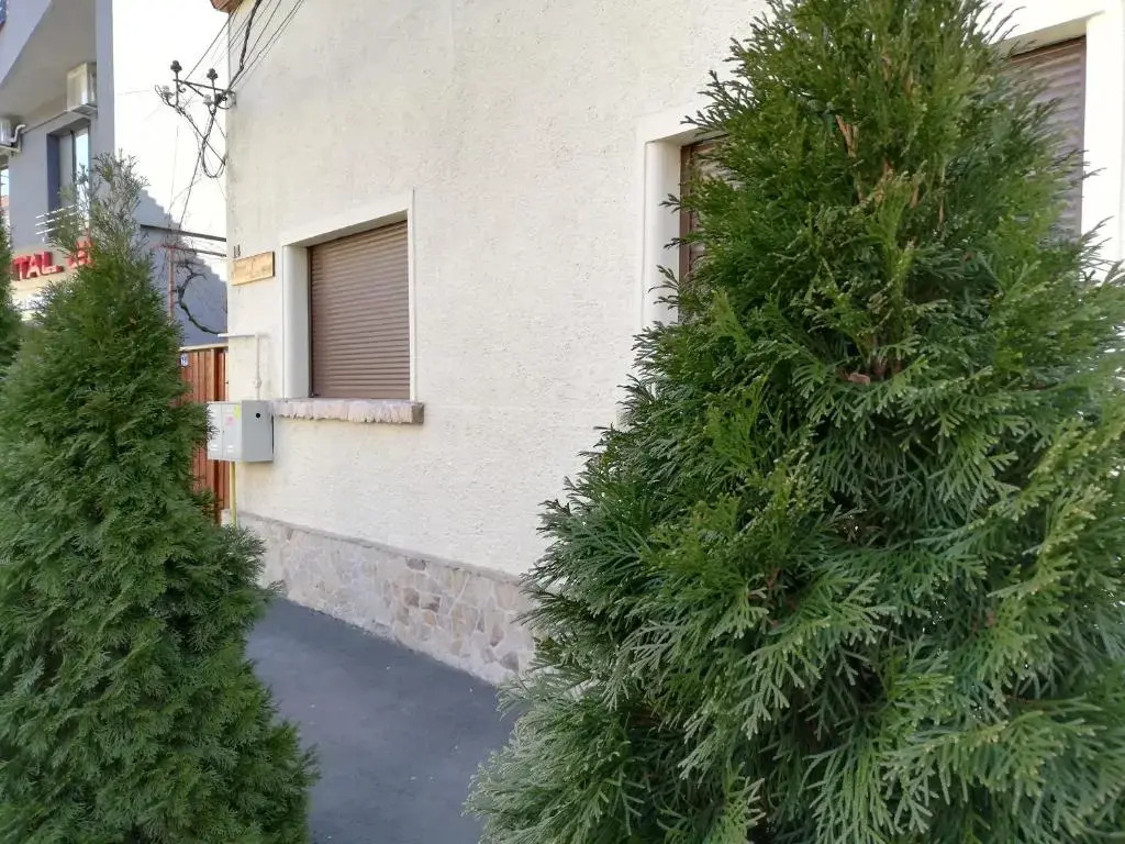 Arthouse Lucrezia - фото 12