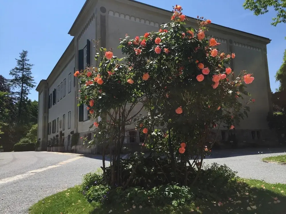 Hotel photo 26