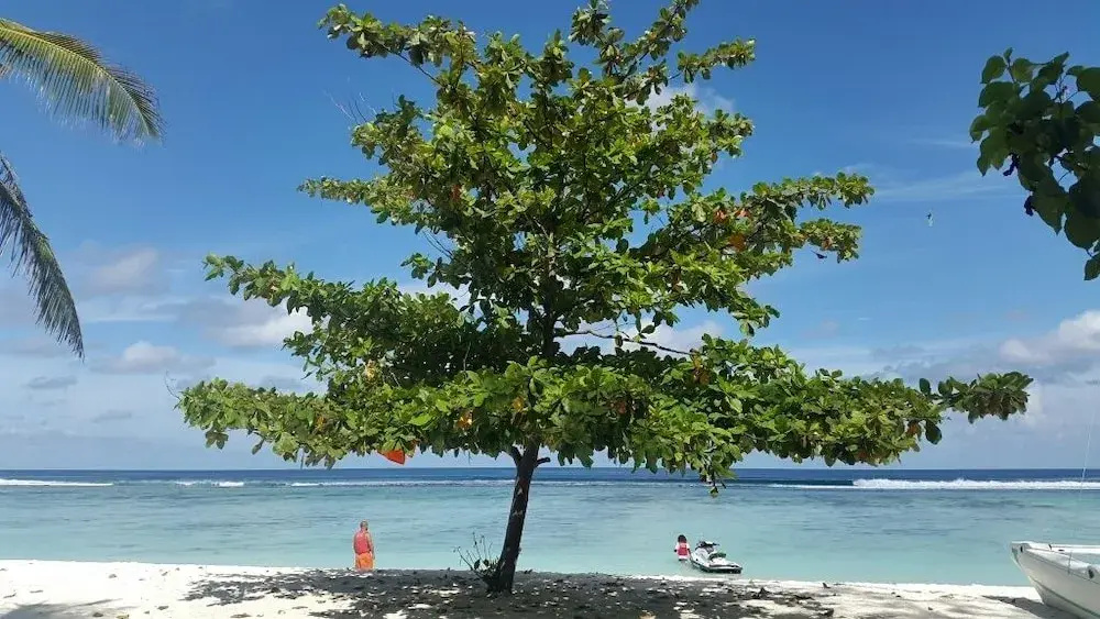 Beach & Waterfront