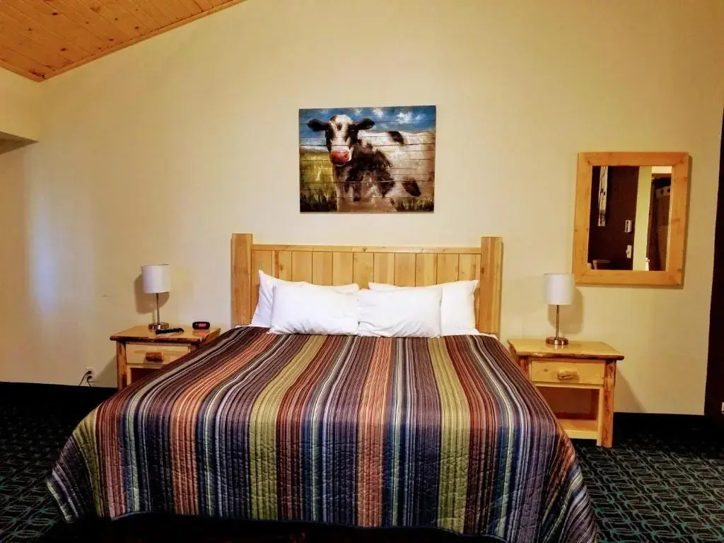 Standard Double room (full double bed)