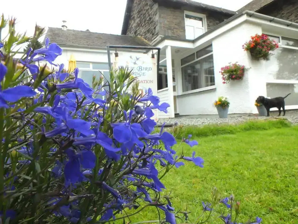 Bluebird Lodge and Waterhead Apartment