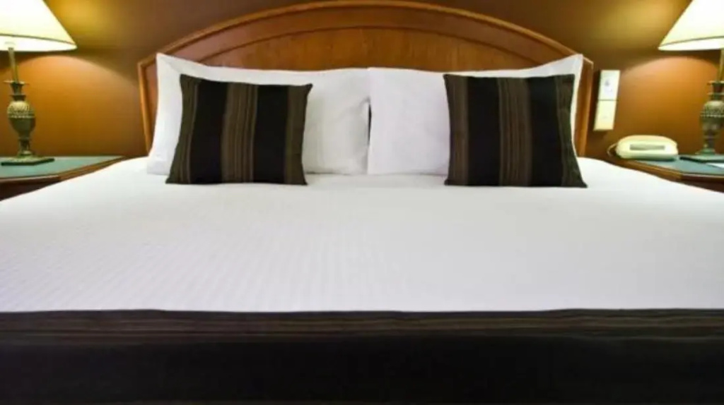 Great Southern Hotel Brisbane - Général