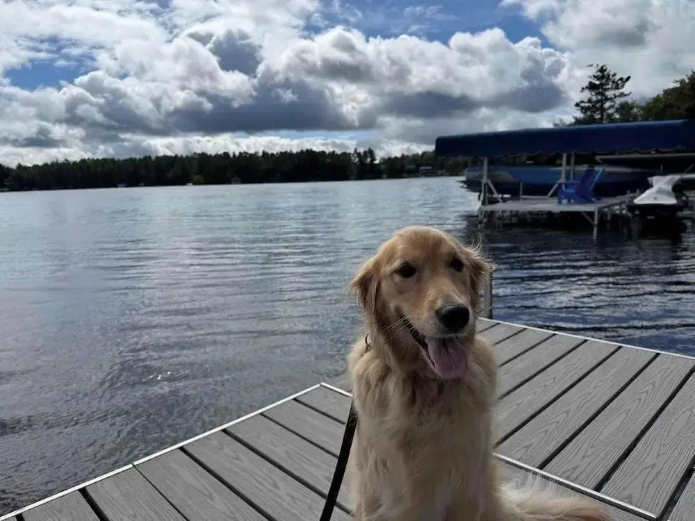 Margeson House -pet Friendly Home