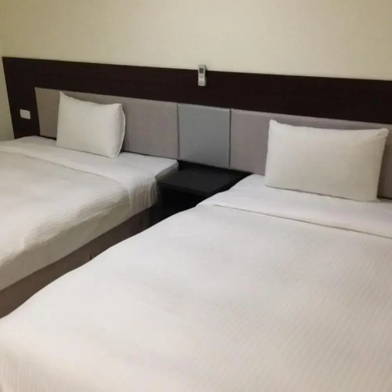 Comfort Double room (twin beds)