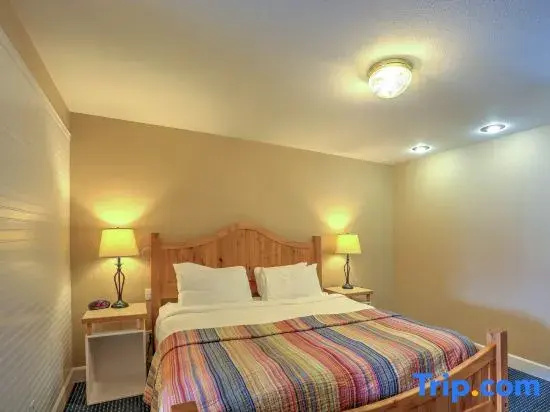 Double Suite (full double bed)