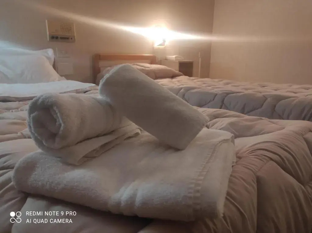 Standard Double room (twin beds)
