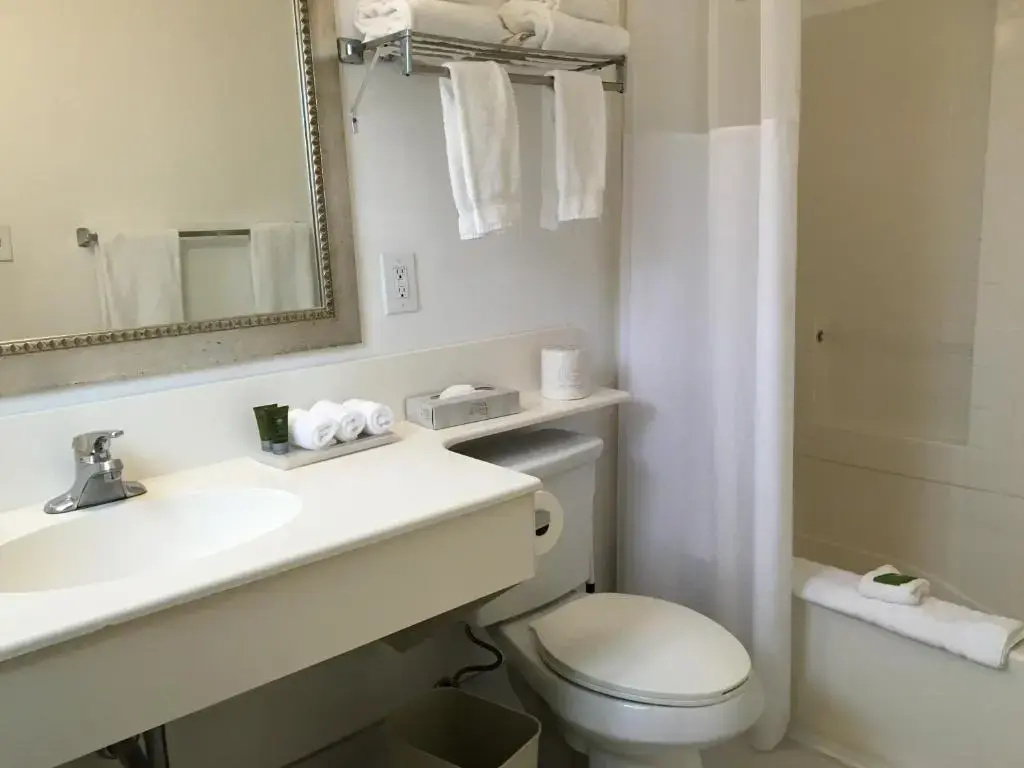 Standard room with view