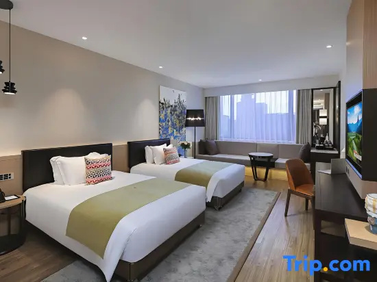 Campanile Hotel (Shenzhen Longcheng Plaza Metro Station) - Chambres