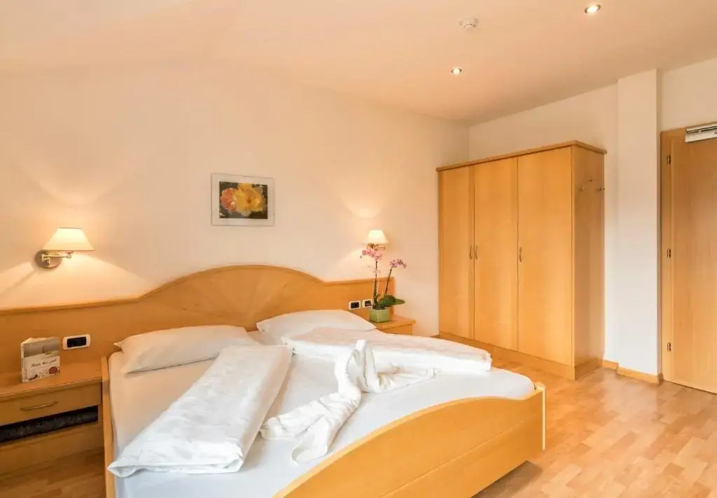 Standard Double room with mountain view (full double bed)