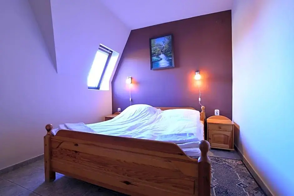 Apartman Hotel Srvr - Chambres