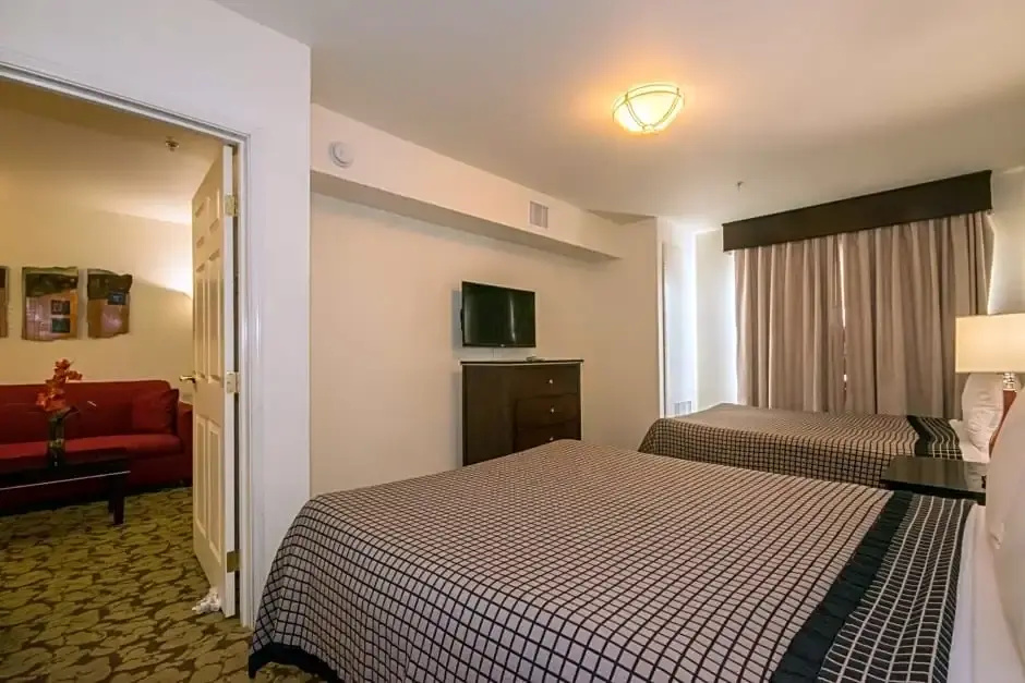 1 Bedroom Suite