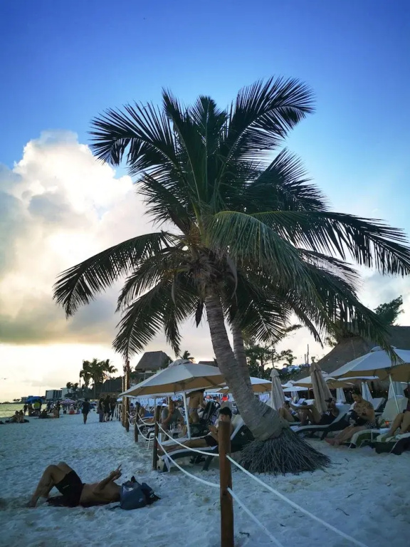 Beach & Waterfront