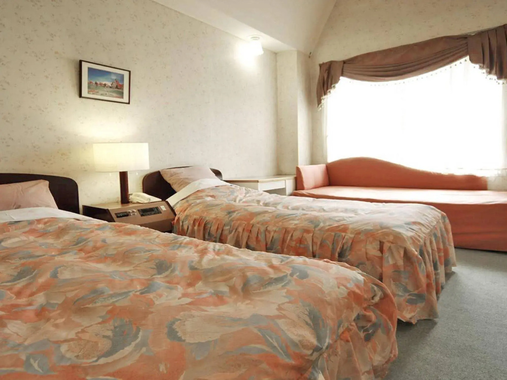 Hotel Green Plaza Joetsu - Général