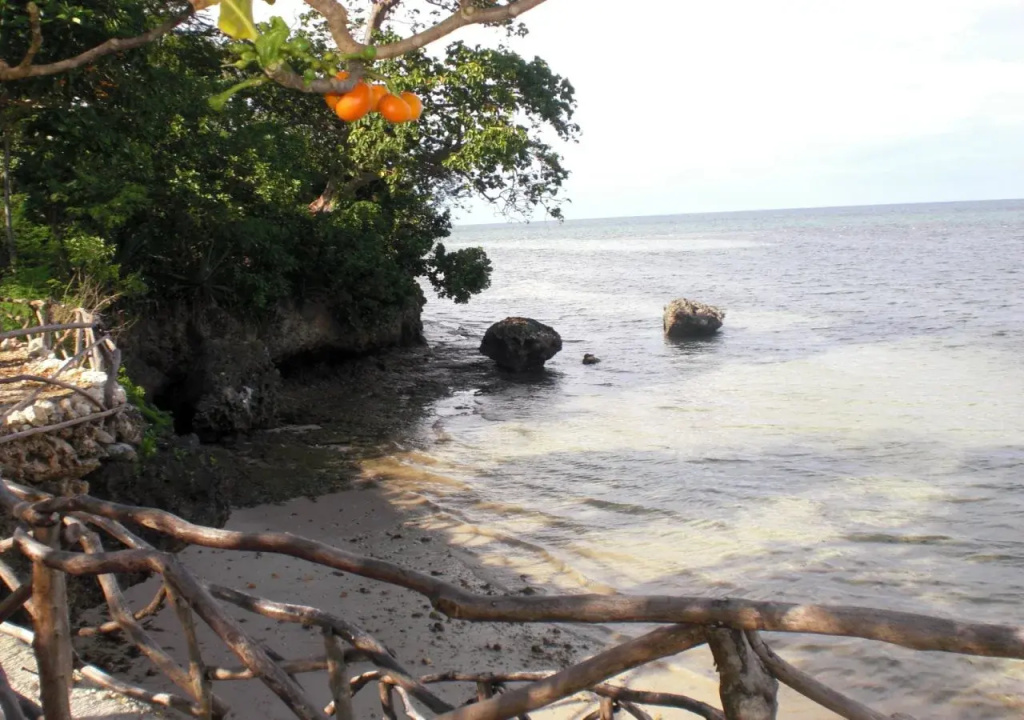 Beach & Waterfront