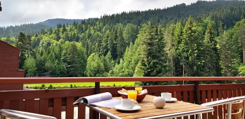 Yastrebets Wellness & Spa - Chambres