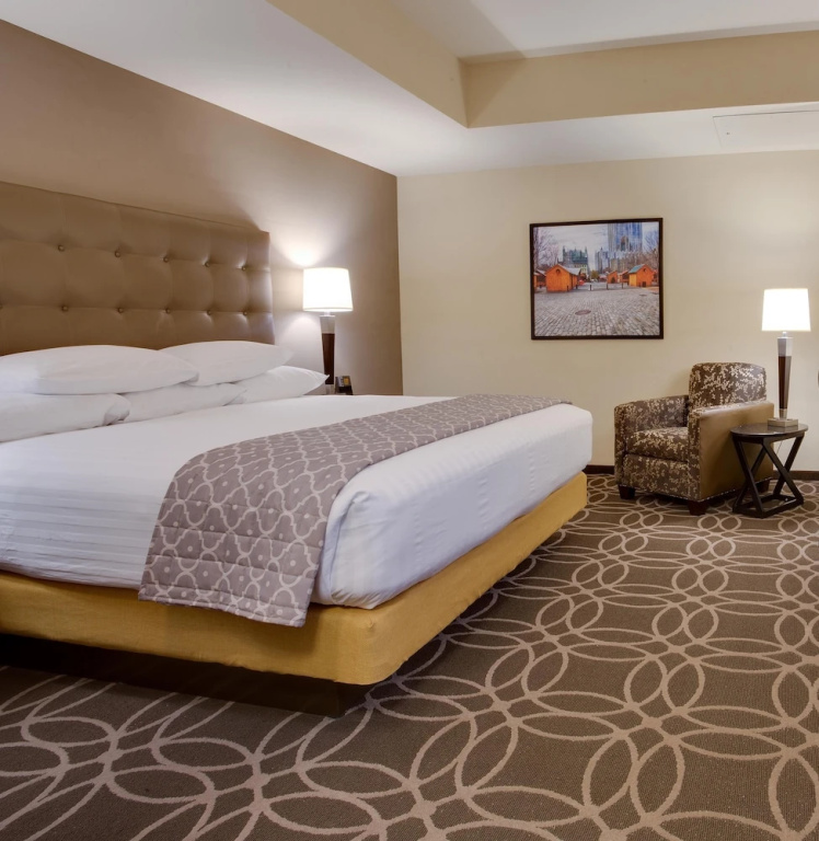 Drury Plaza Hotel Pittsburgh Downtown - Chambres