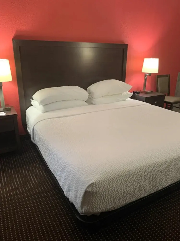 Standard Double room with lake view (full double bed)