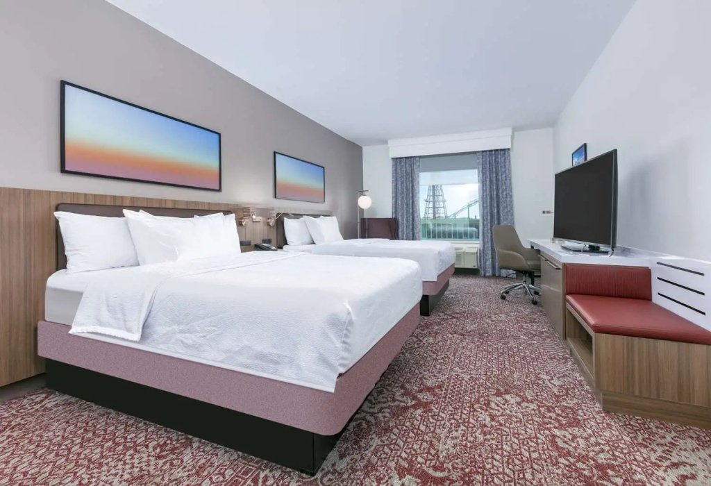 Hilton Garden Inn Dallas/Arlington - Chambres