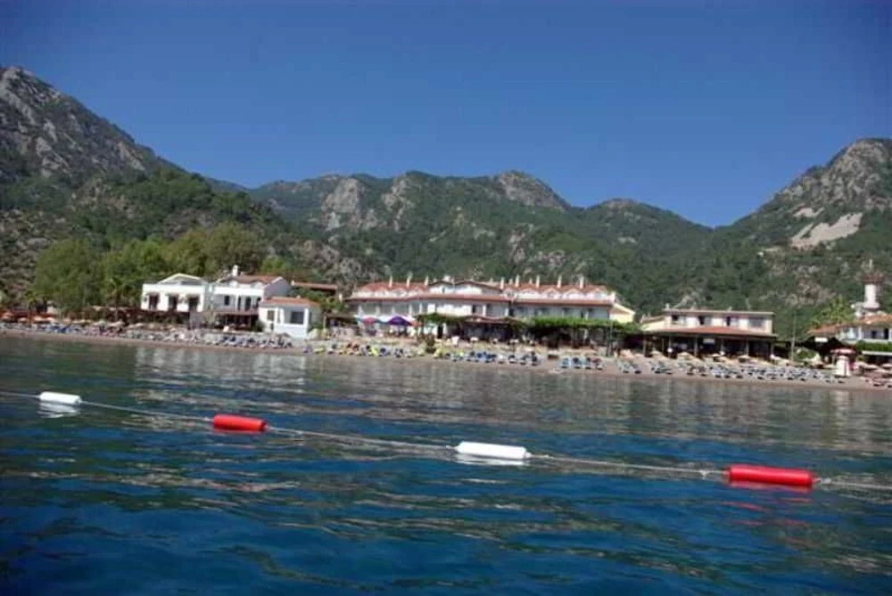 Beach & Waterfront