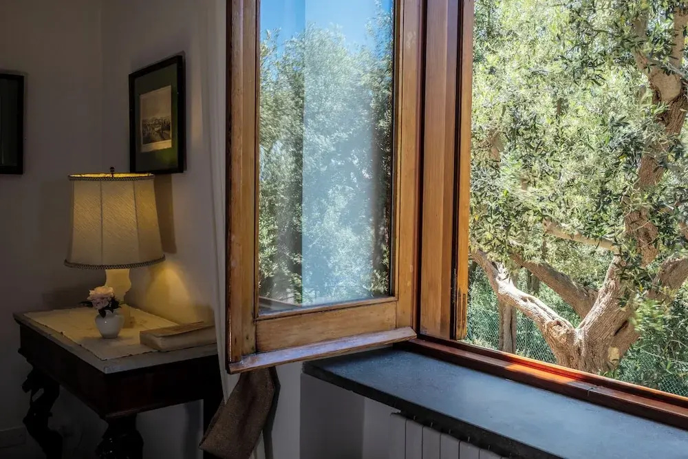 Comfort Double room with garden view (full double bed)