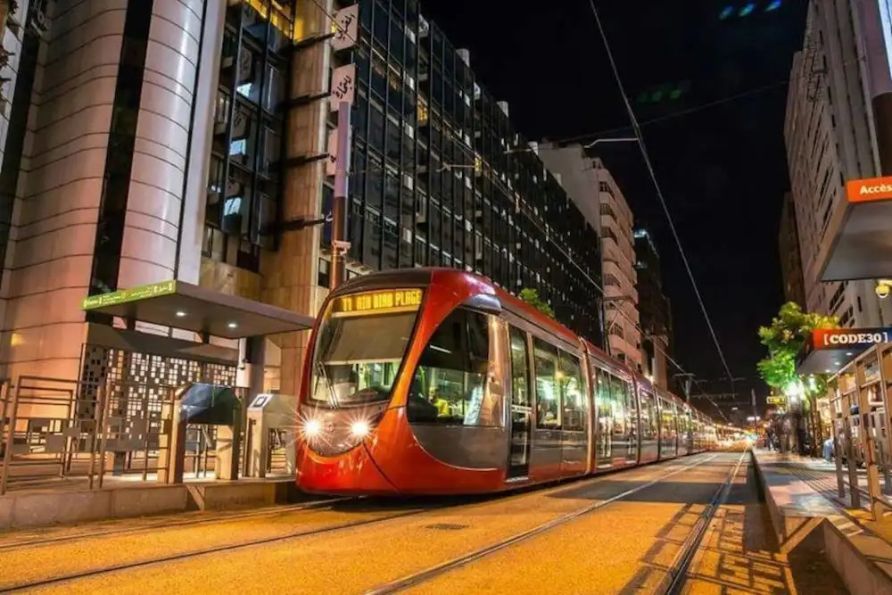 Franklin - фото 14